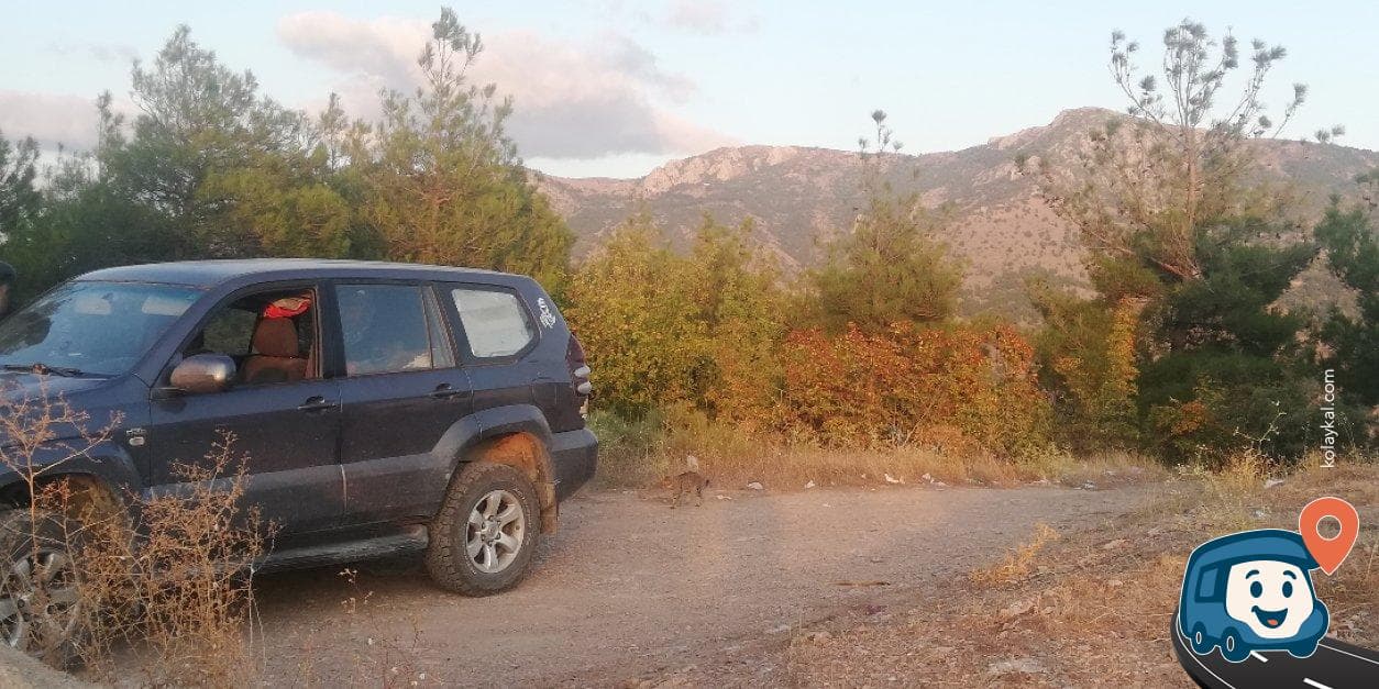 Amasya Kalesi Manzaralı Kamp ve Karavan Alanı - Amasya Merkez, foto 2