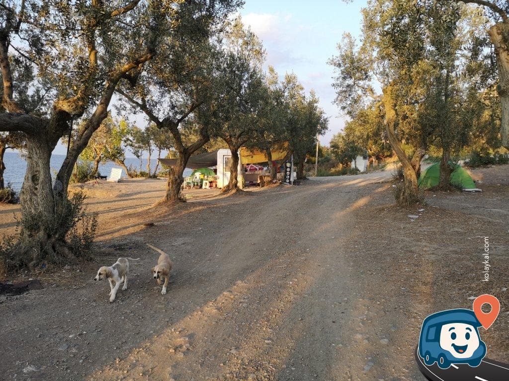Sırakayalar Kamp & Karavan - Gemli̇k, Bursa, foto 1