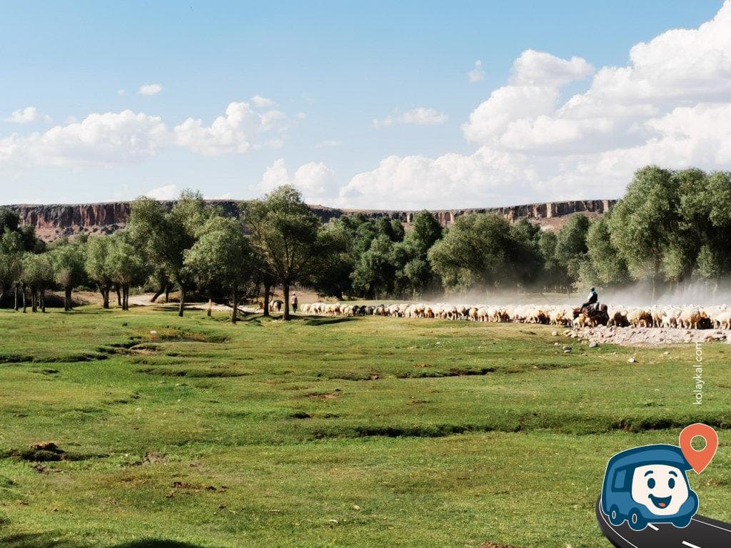 Aşıklı Höyük Yakınında Kamp Alanı - Gülağaç, Aksaray, foto 2