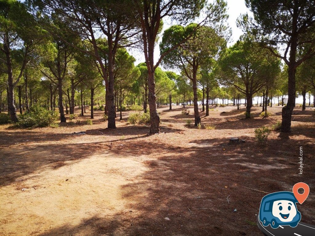 Kumluca Orman Kampı ve Karavan Parkı - Manavgat, Antalya, foto 1