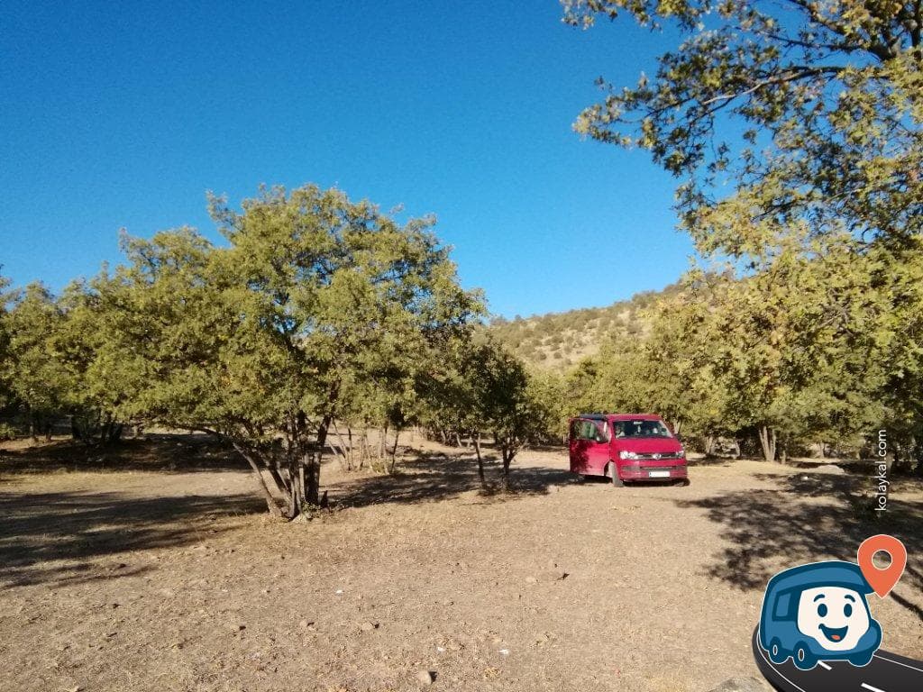 Meram Meşe Ormanı Kamp Alanı - Konya, foto 1
