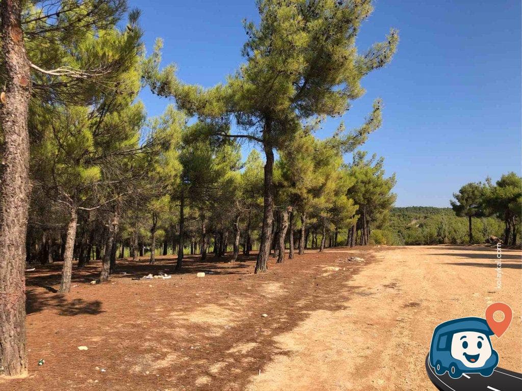 Erikçe Kamp Alanı - Şehitkamil, Gaziantep, foto 3