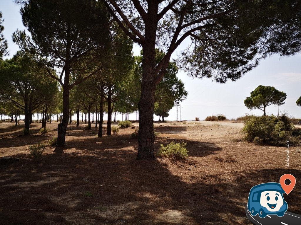 Kumluca Orman Kampı ve Karavan Parkı - Manavgat, Antalya, foto 2