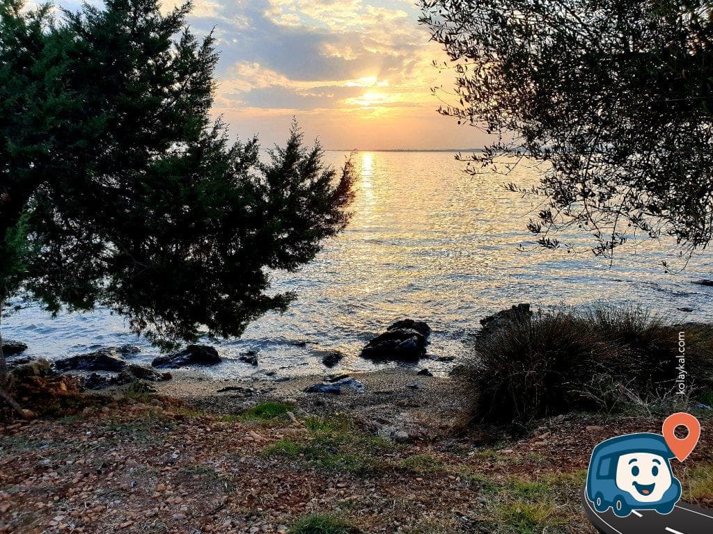 Akbük Sahili Çam Ağaçları Altı Ücretsiz Kamp ve Karavan Park Alanı - Didim, Aydın, foto 3