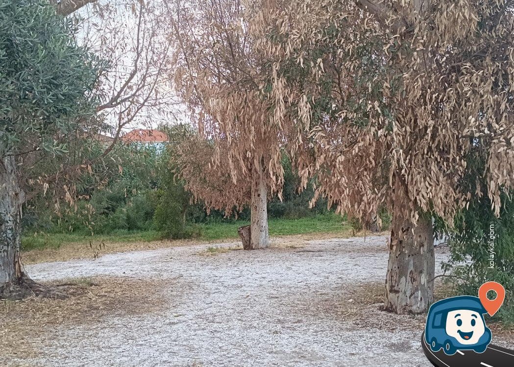 Kaya Pansiyon Kamp Alanı - Milas, Muğla, foto 4