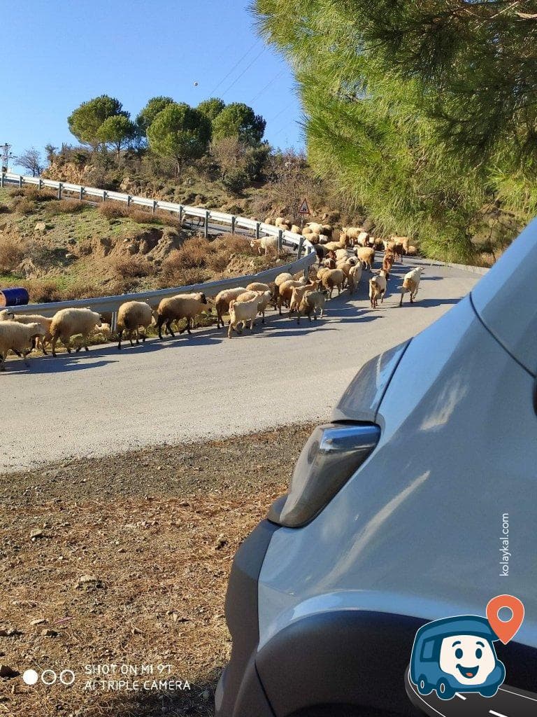 Panorama Manzaralı Kamp ve Karavan Park Yeri - Güzelbahçe, İzmir, foto 1