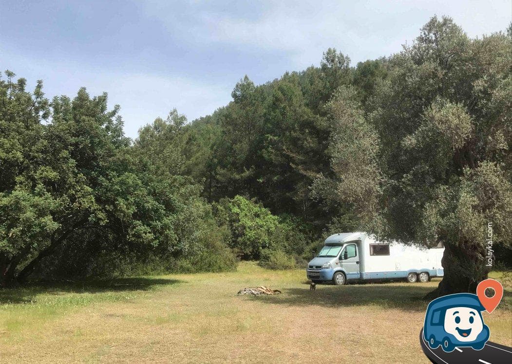 Kargıcak Koyu Kamp ve Piknik Alanı - Dalaman, Muğla, foto 4