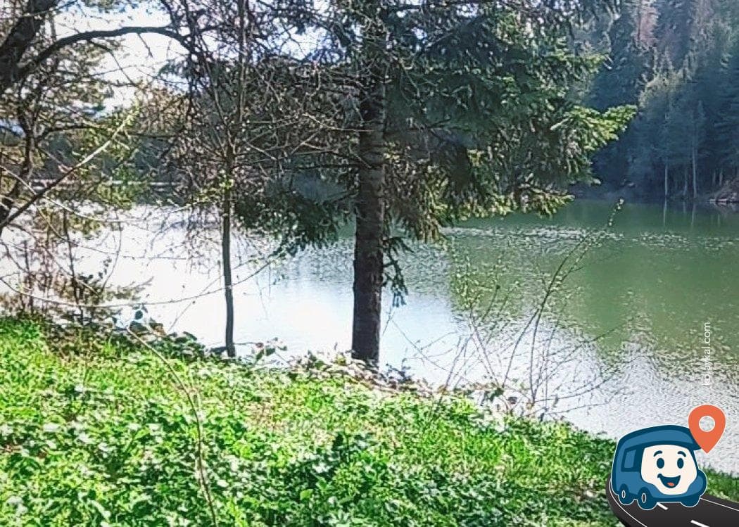 Bozcaarmut Gölü - Pazaryeri, Bilecik, foto 2