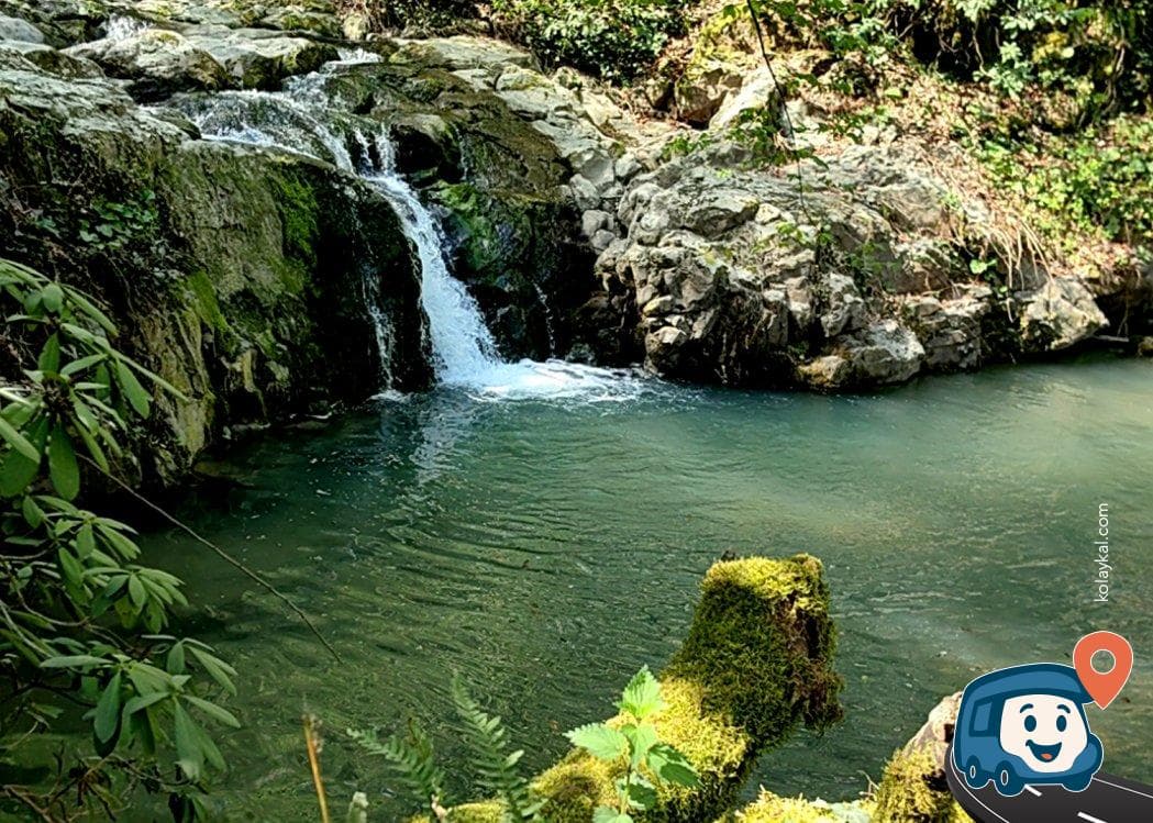 Taş Gölü Kamp Alanı - Ereğli, Zonguldak, foto 3