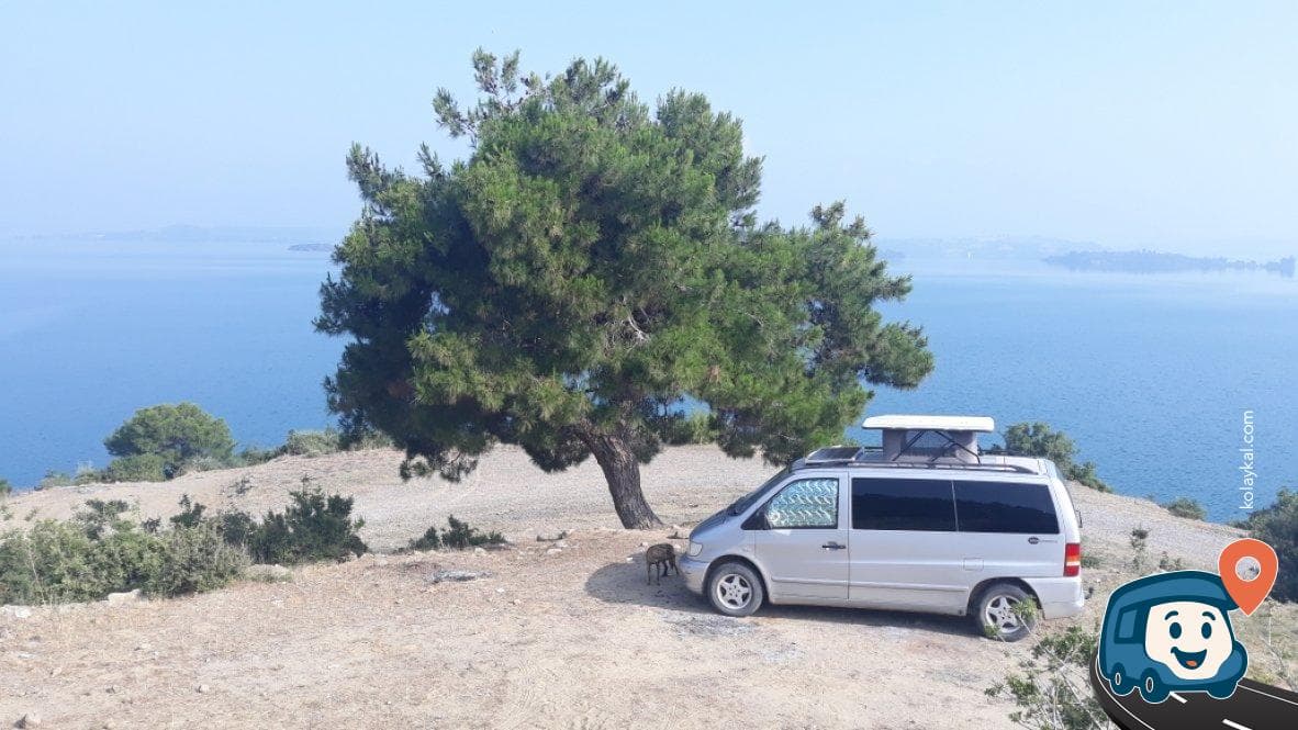Catalan Barajı Kenarı Vahşi Kamp Alanı - Sarıçam, Adana, foto 5
