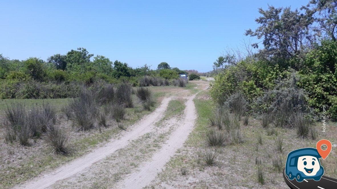 Kızılırmak Deltası Kuş Cenneti Kamp Alanı - 19 Mayıs, Samsun, foto 2