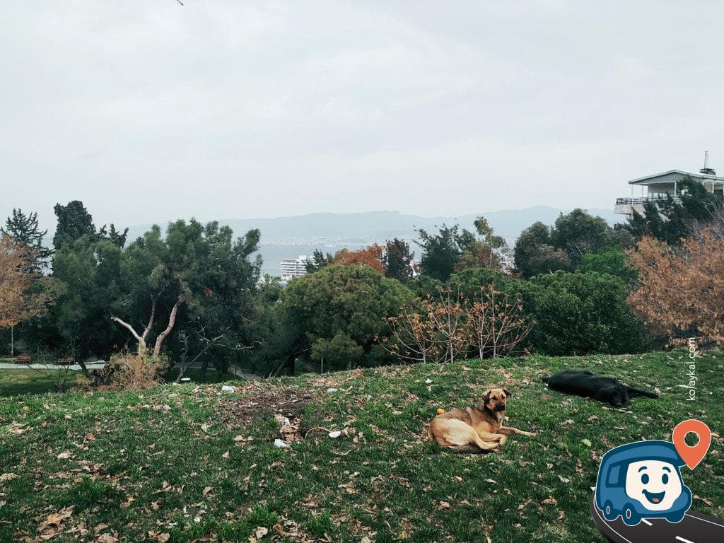 İzmir Ücretsiz Otopark - Konak, foto 3