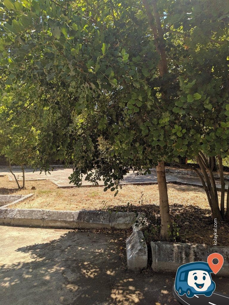 Kurşunlu Şelalesi Ücretsiz Otopark ve Kamp Alanı - Aksu, Antalya, foto 3