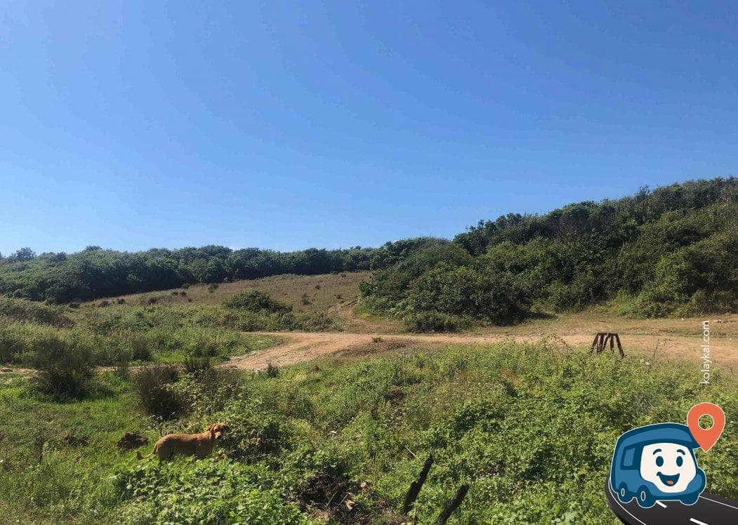 Galıncak Sahili Kamp Alanı - Kandıra, Kocaeli, foto 2