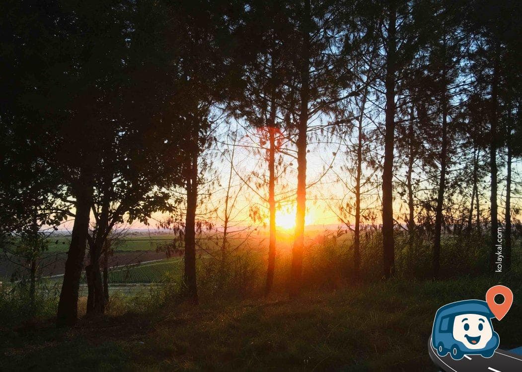 Sıralı Bayraklı Tepe Kamp Alanı - Harran, Şanlıurfa, foto 3