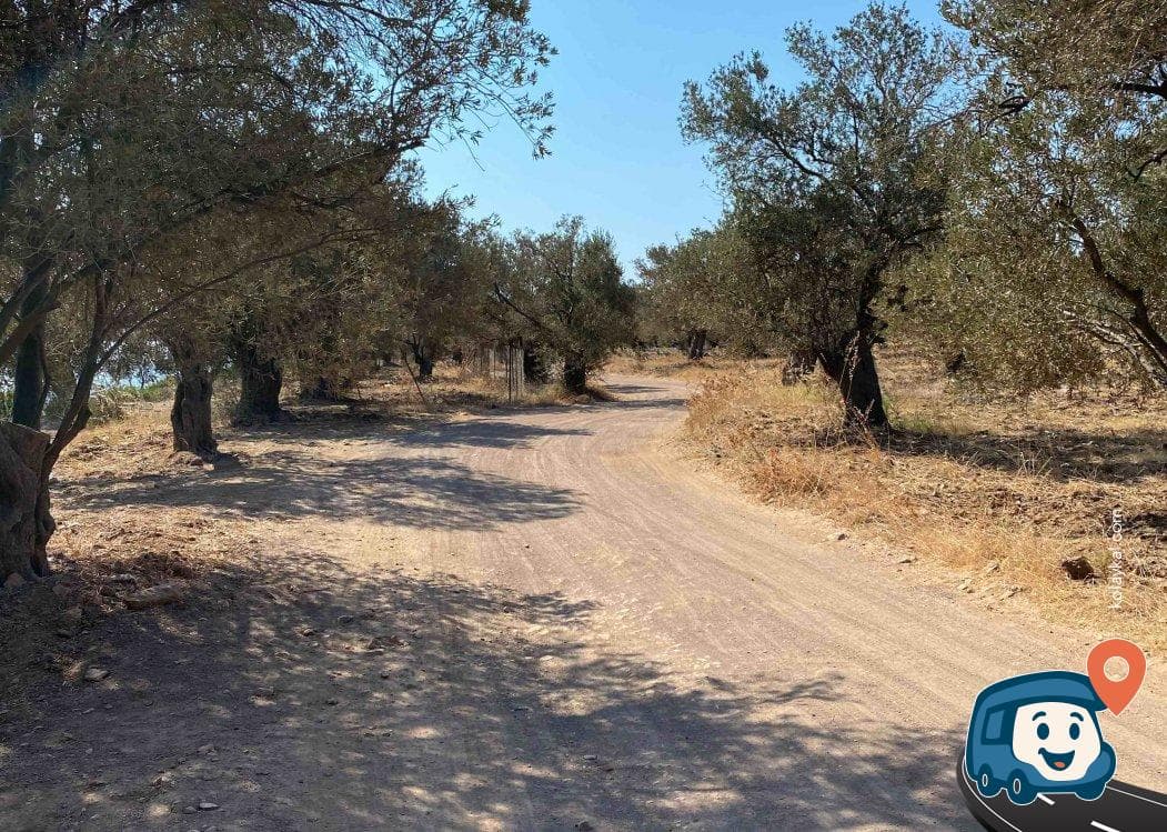 Sakin Koy Kamp Alanı - Ayvalık, Balıkesir, foto 1
