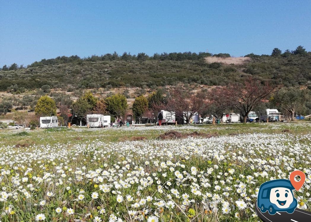 Antique Lodge Karavan Kamp - Kuşadası, Aydın, foto 10