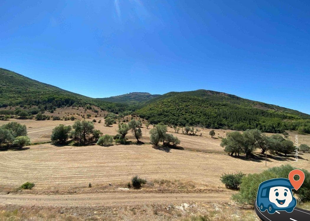 Şiran Kamp Alanı - Gümüşhane, foto 1