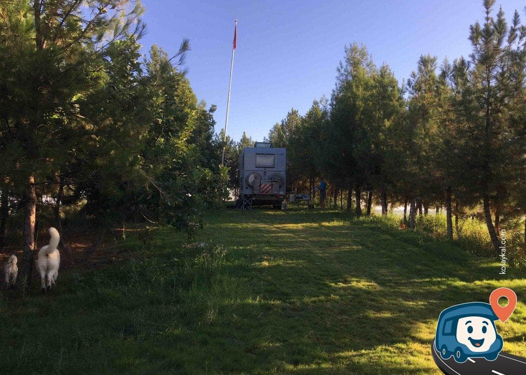 Sıralı Bayraklı Tepe Kamp Alanı - Harran, Şanlıurfa, foto 4