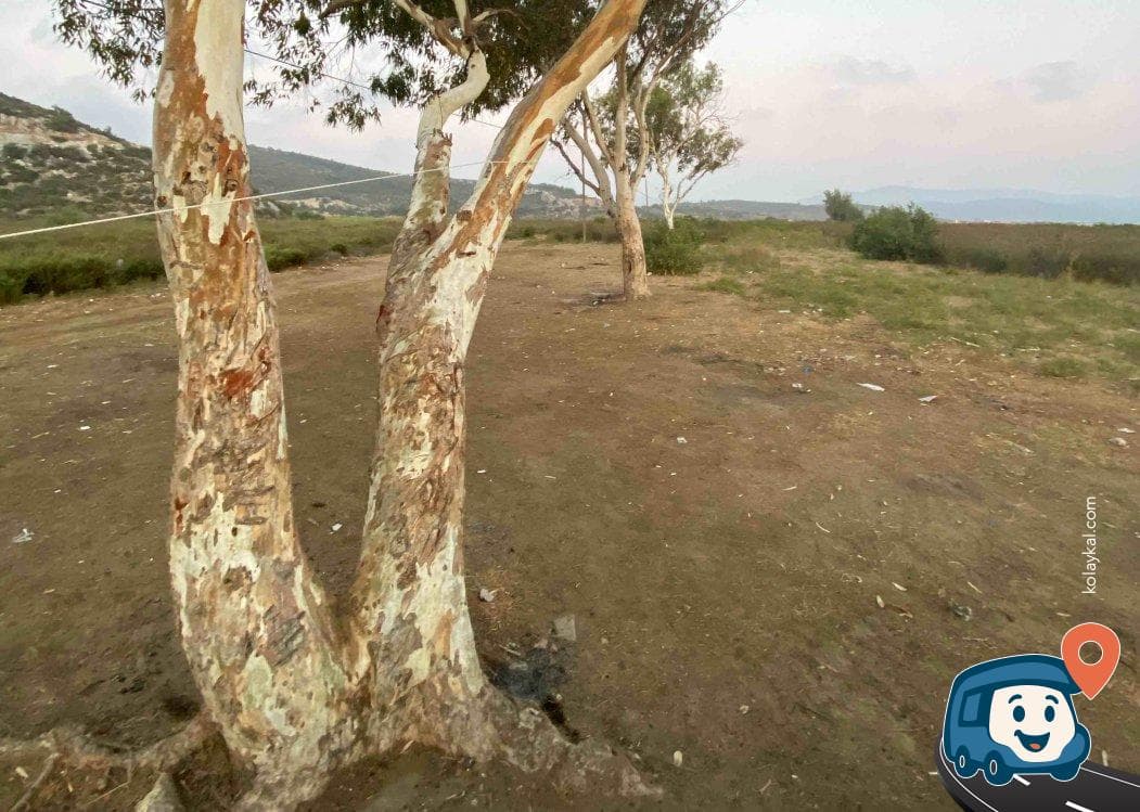 Kuşadası Sahili Kamp ve Karavan Alanı (gölge Alanları) - Selçuk, İzmir, foto 1