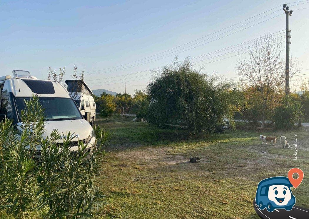 Dalyan Doğa Camping - Ortaca, Muğla, foto 4