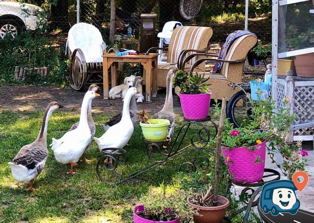 Dalyan Doğa Camping - Ortaca, Muğla, foto 1