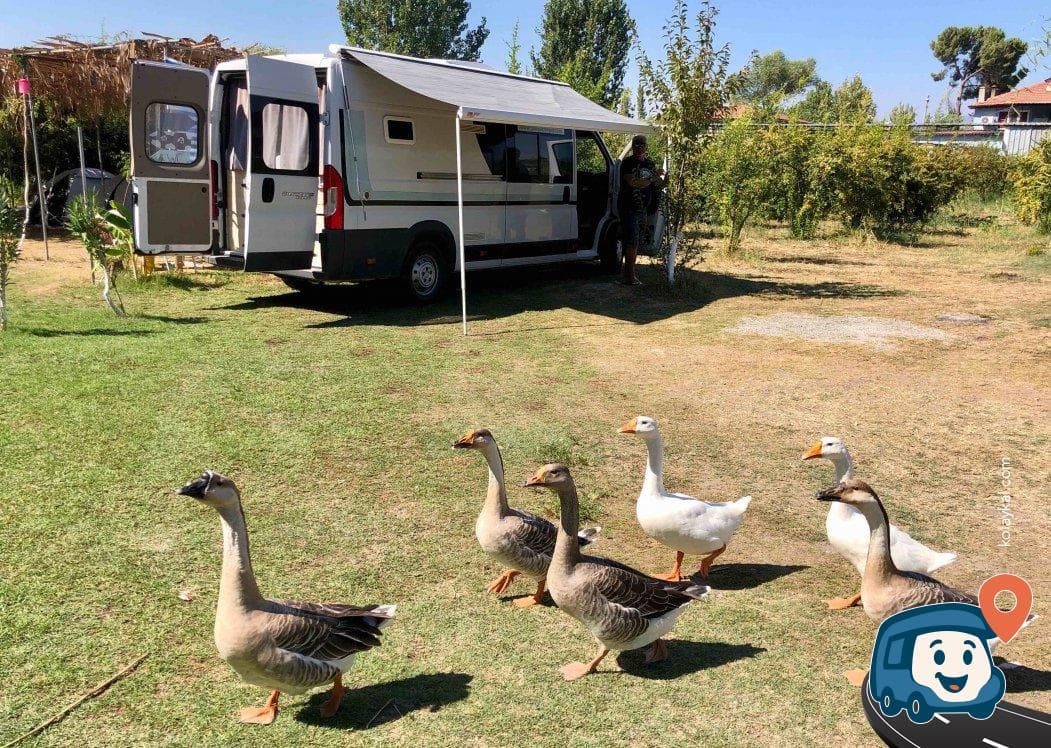 Dalyan Doğa Camping - Ortaca, Muğla, foto 3