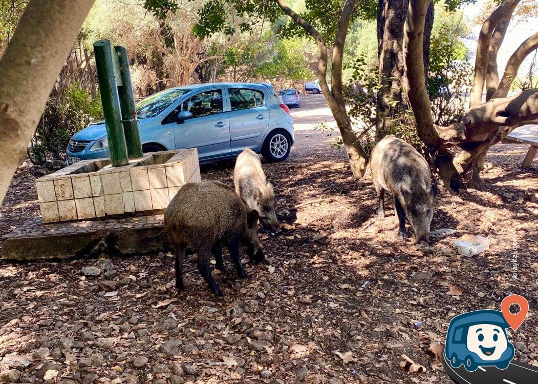 Kuşadası Milli Parkı - Aydın, foto 1