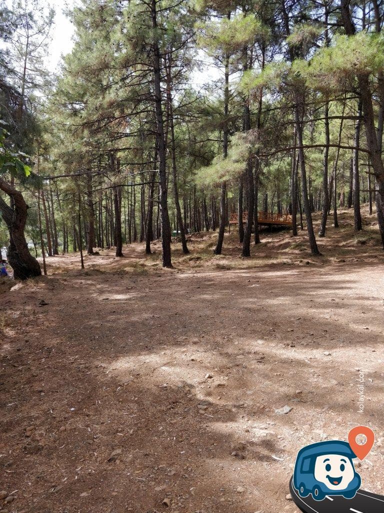 Ekincik Kamp Alanı - Köyceğiz, Muğla, foto 2