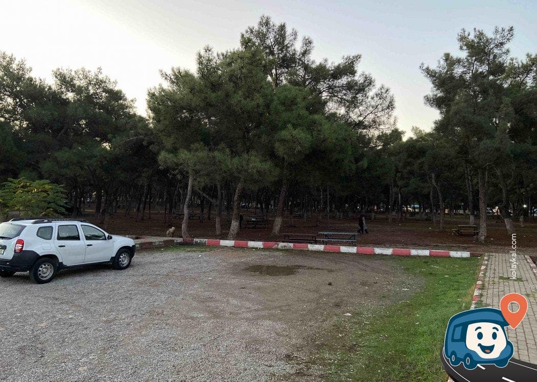 Sarnıç Piknik Alanı - Gaziemir, İzmir, foto 12