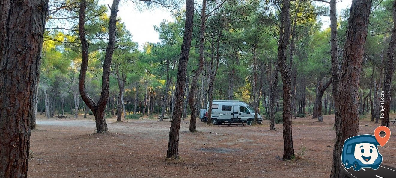 Sarnıç Piknik Alanı - Gaziemir, İzmir, foto 13