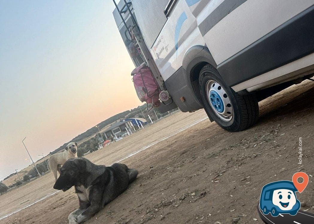 Kemer Halk Kampı - Biga, Çanakkale, foto 2