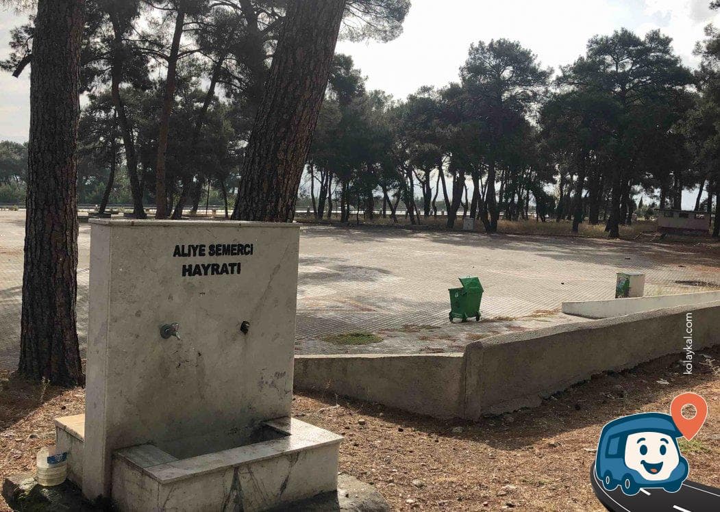 Kırkağaç Çamlığı - Manisa, foto 3