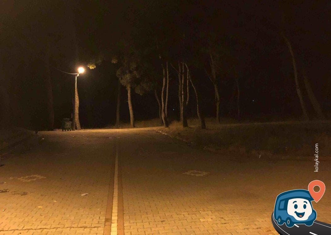 Kırkağaç Çamlığı - Manisa, foto 2