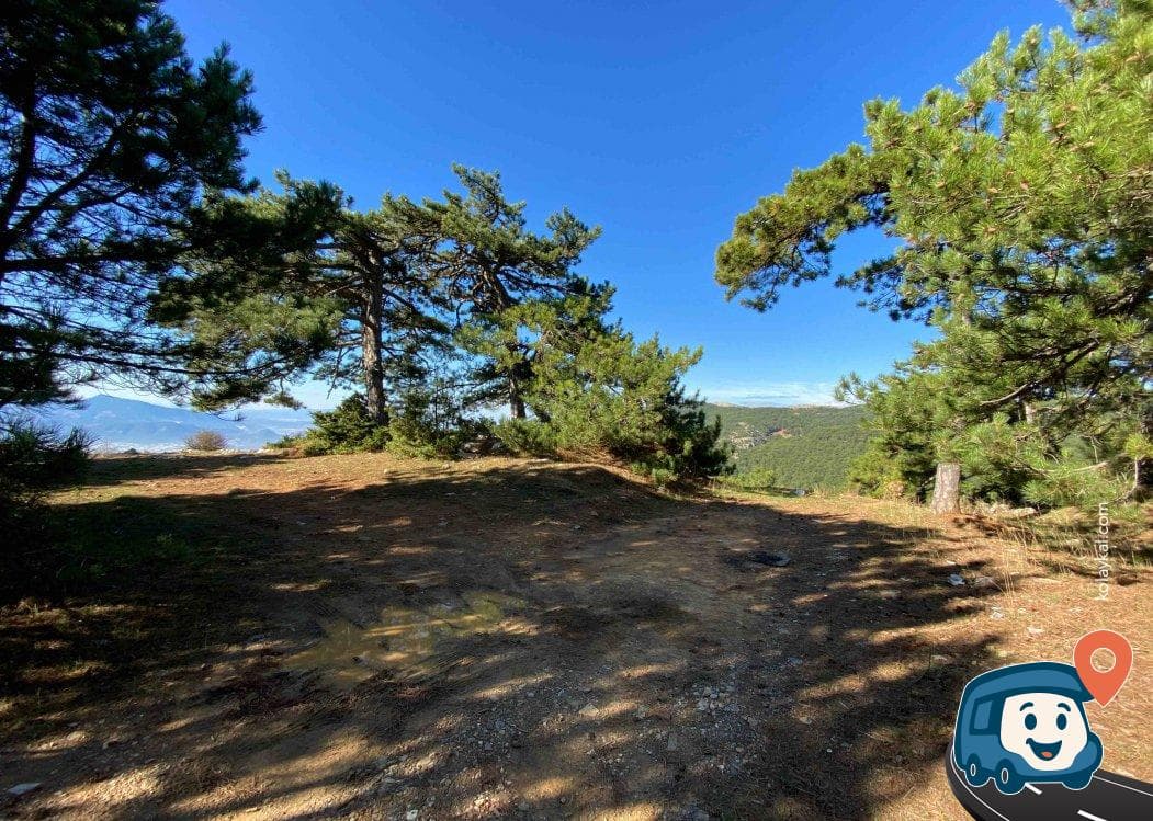 Spil Dağı Genel Kamp Alanı - Şehzadeler, Manisa, foto 2