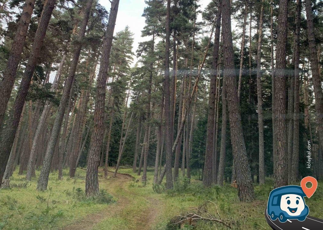 Mountrain Outdoor Club - Bolu Merkez, Bolu, foto 8