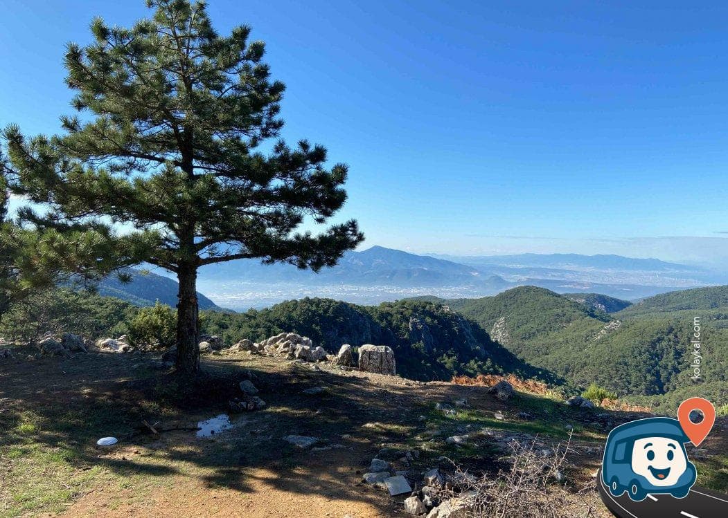 Spil Dağı Genel Kamp Alanı - Şehzadeler, Manisa, foto 1