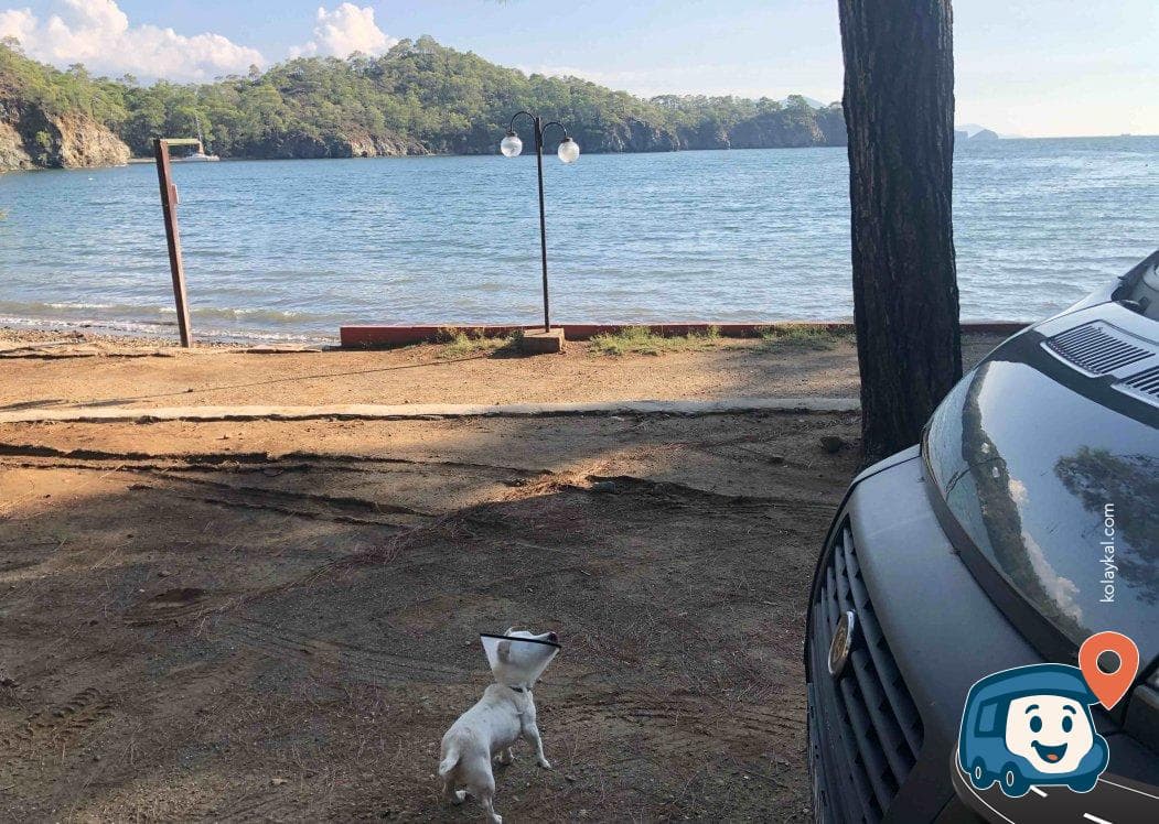 Katrancı Koyu Tabiat Parkı - Fethiye, Muğla, foto 2