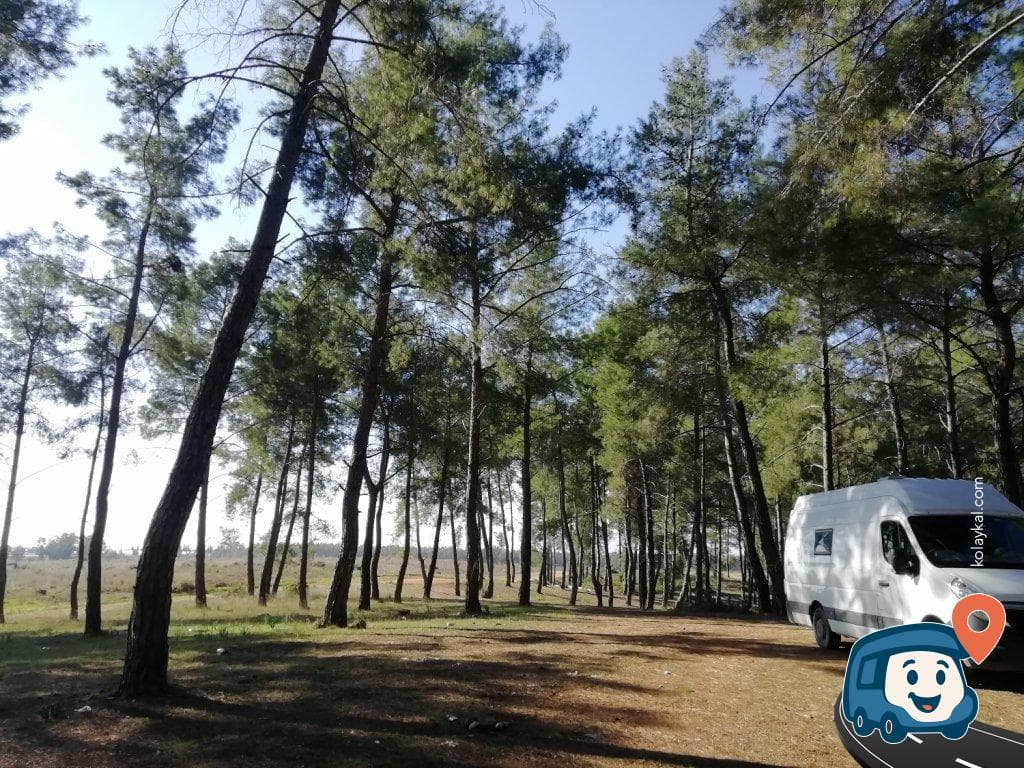 Antalya Orman İçi Kamp Alanı - Aksu, foto 2