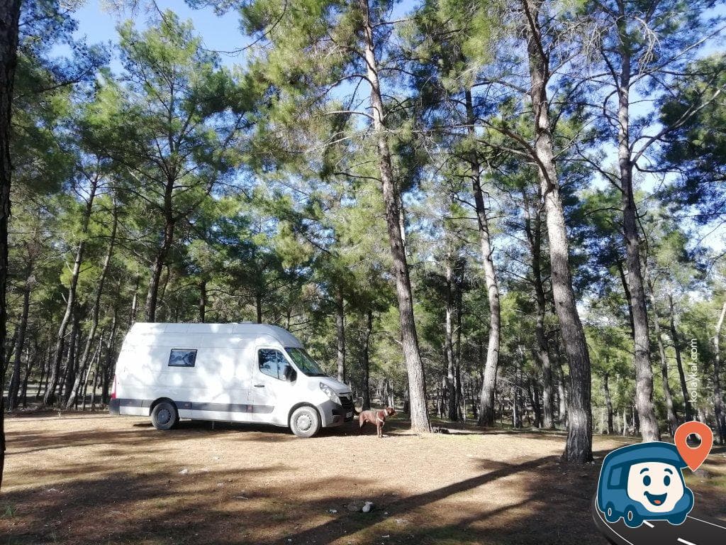 Antalya Orman İçi Kamp Alanı - Aksu, foto 1