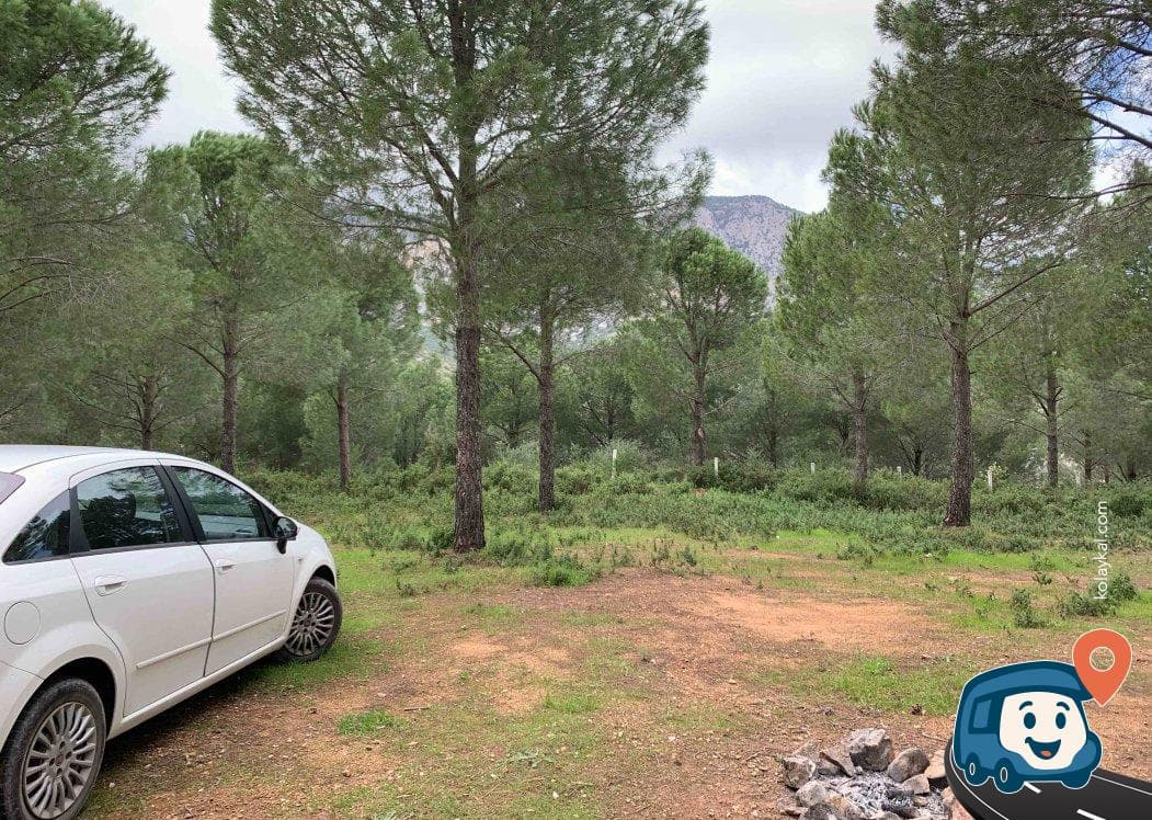 Datça Can Baba Kamp ve Piknik Alanı - Muğla, foto 2