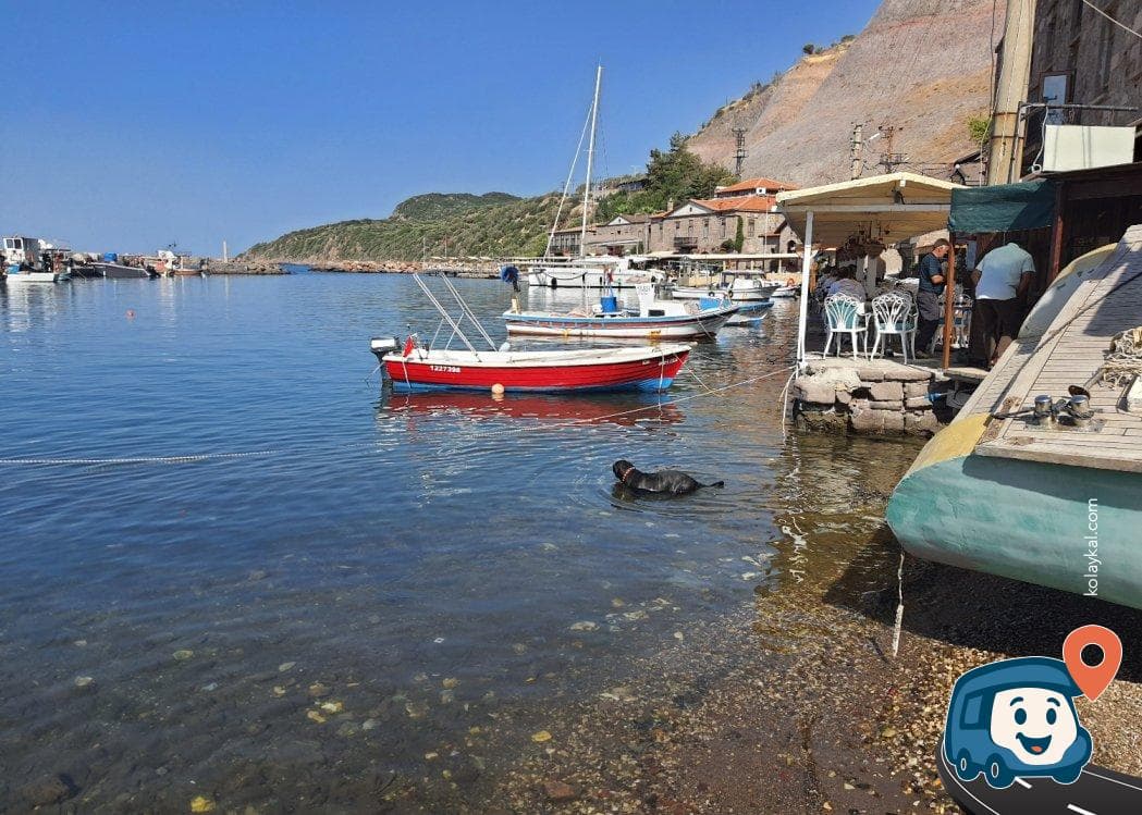 Assos Manzaralı Kamp Noktası - Ayvacık, Çanakkale, foto 4