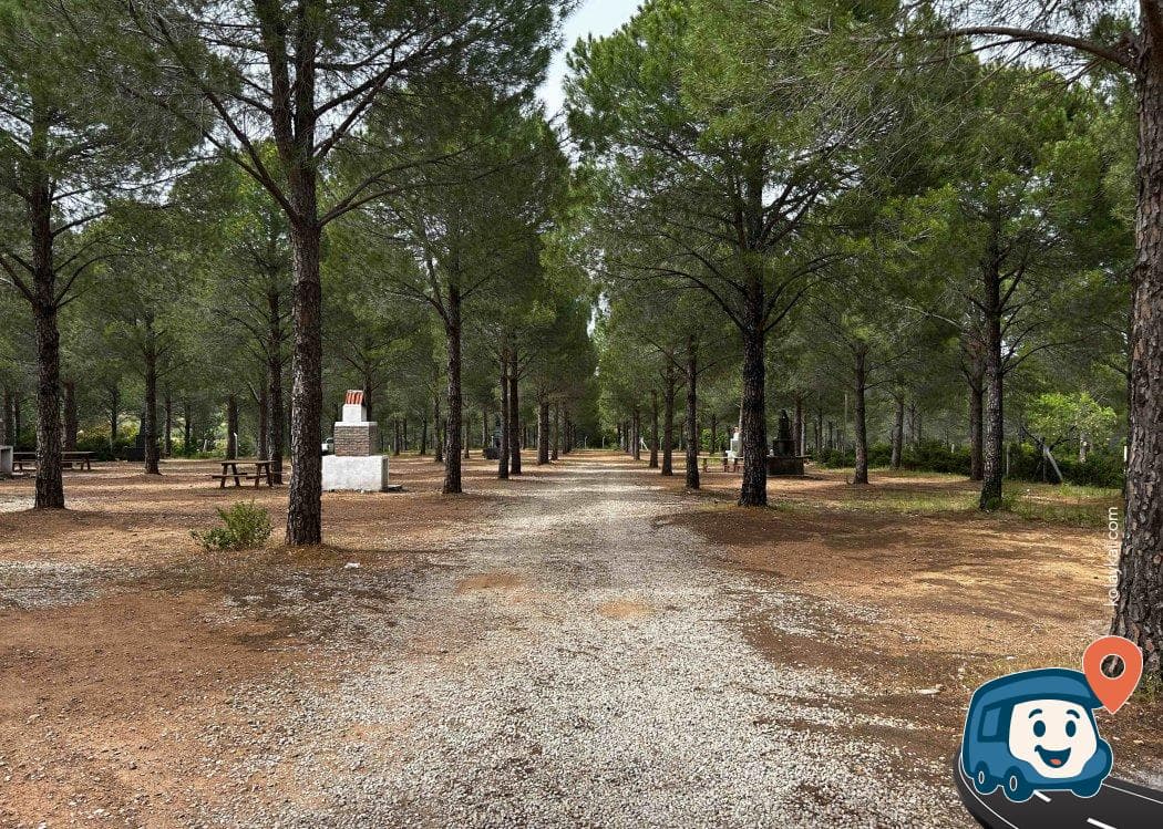 Datça Can Baba Kamp ve Piknik Alanı - Muğla, foto 4