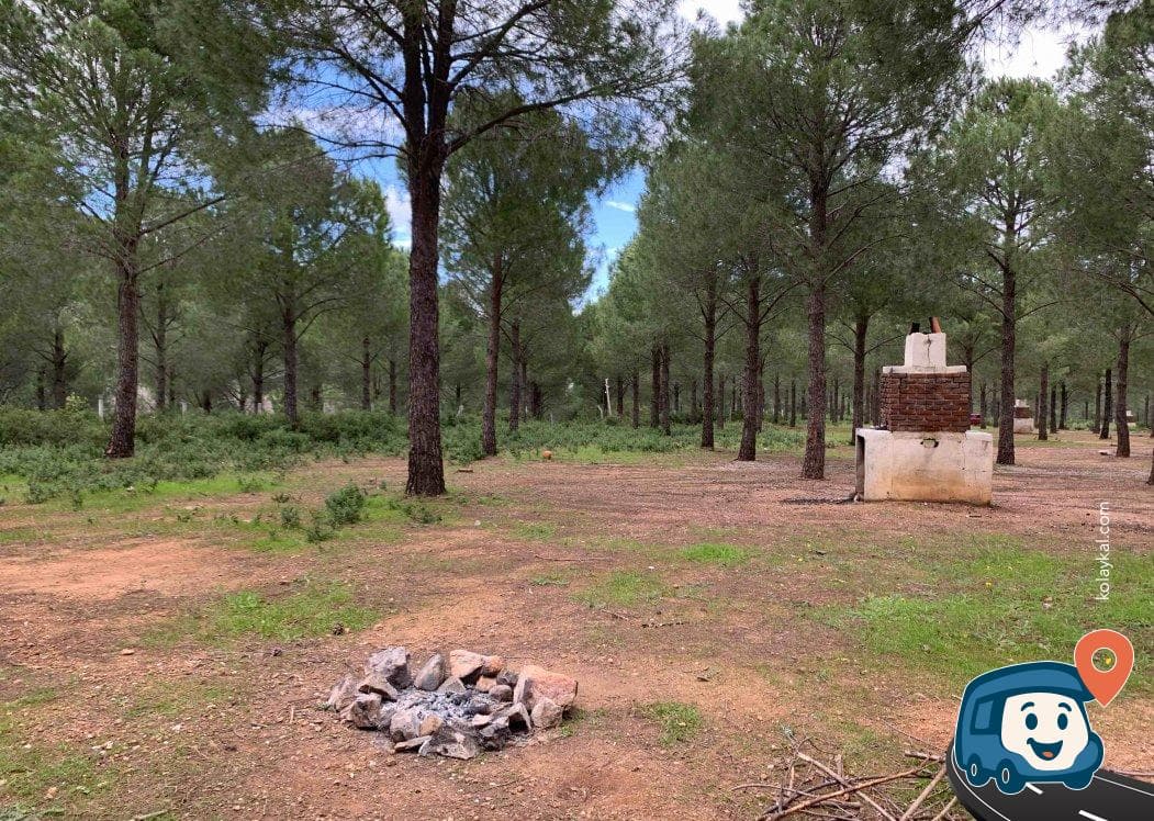 Datça Can Baba Kamp ve Piknik Alanı - Muğla, foto 1