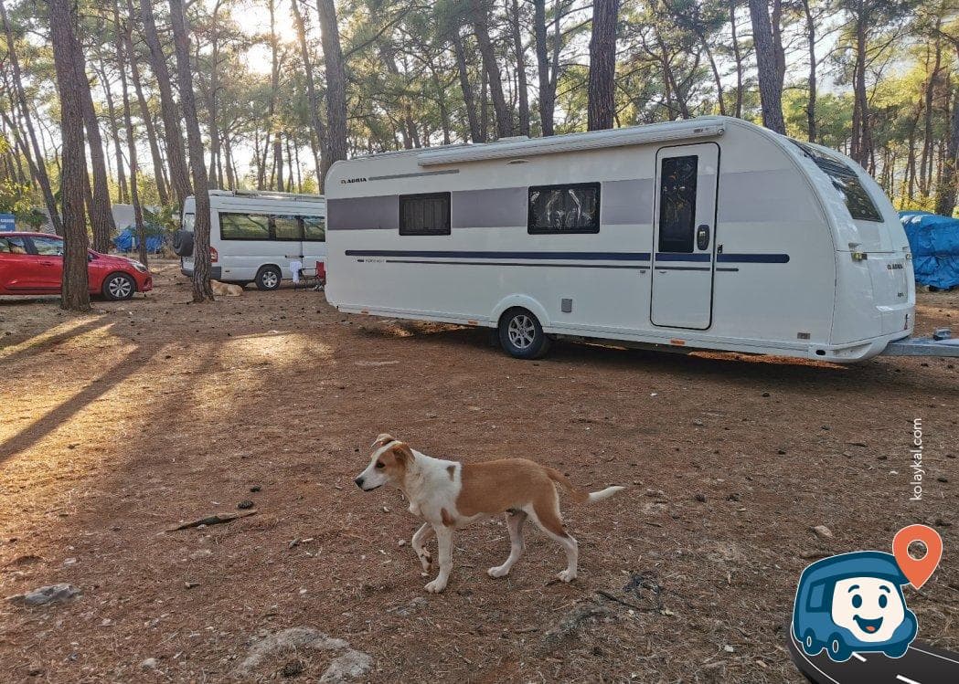 Akyaka Orman Kampı - Ula, Muğla, foto 2