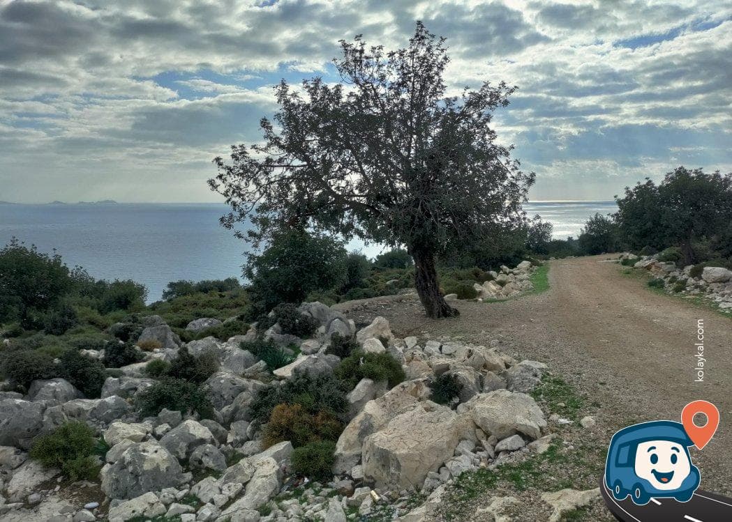 Finike Manzaralı Ücretsiz Kamp ve Piknik Alanı - Antalya, foto 3