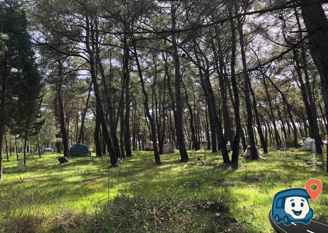 Akyaka Orman Kampı - Ula, Muğla, foto 1