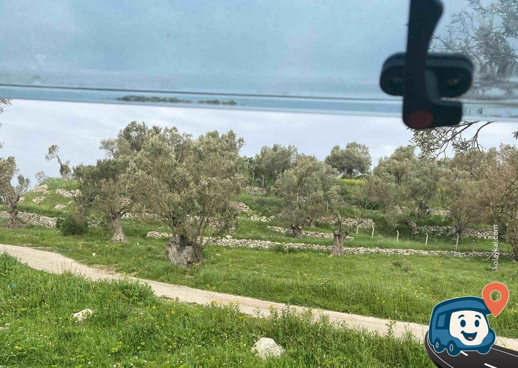 Bademli Köyü Deniz Kenarı Kamp Alanı - Dikili, İzmir, foto 3