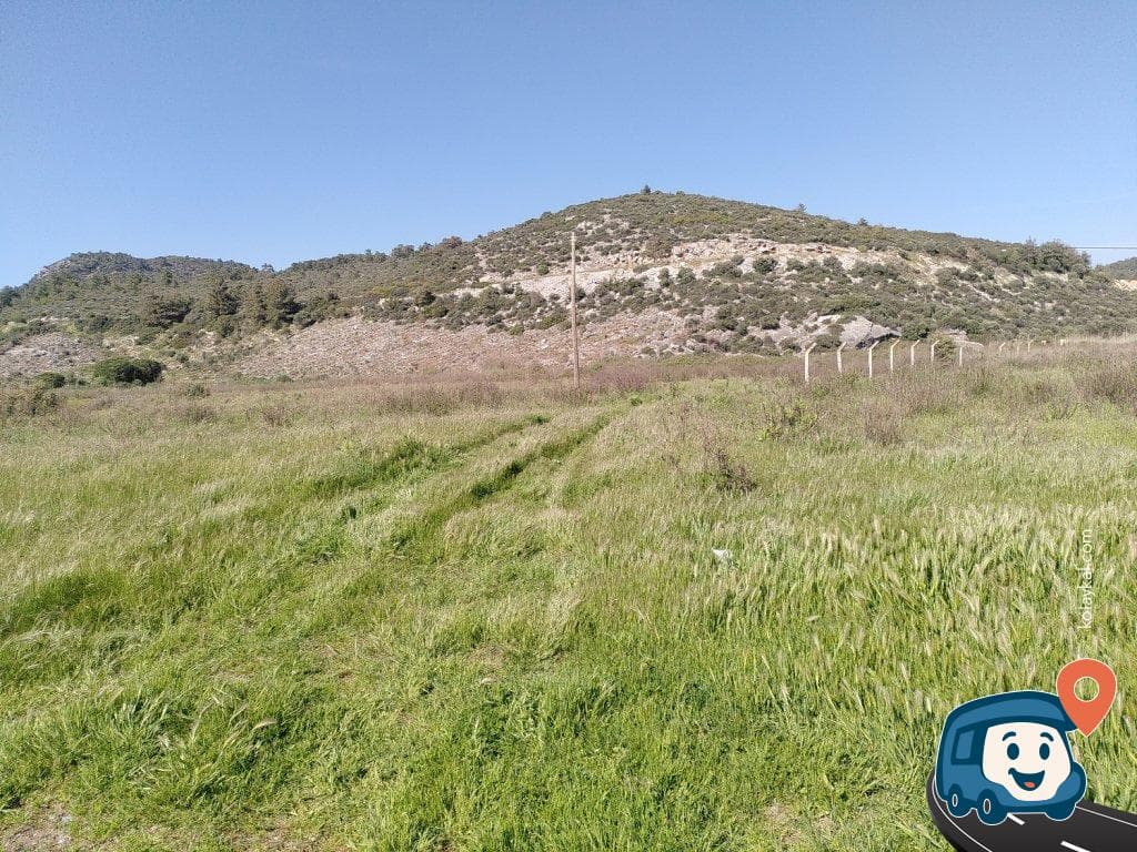 Kuşadası Zeytinköy Kamp Alanı - Selçuk, İzmir, foto 2