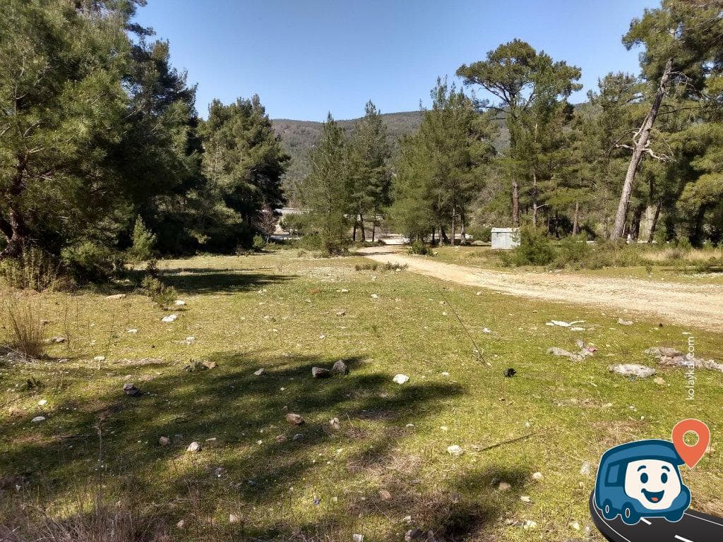 Otoyol Kenarı Ormanlık Alan Kamp ve Dinlenme Noktası - Milas, Muğla, foto 2
